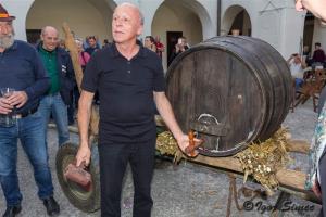 Mlada portugalka 2017 3